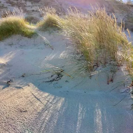 Laura 70qm Bis 5 Gaeste Mit Fass-sauna, Whirlpool April Bis Oktober, 75qm Terrasse Und Eingezaeunten Garten Haustiere Willkommen * Sieroslaw (Kamien)