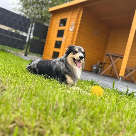 Laura 70qm Bis 5 Gaeste Mit Fass-sauna, Whirlpool April Bis Oktober, 75qm Terrasse Und Eingezaeunten Garten Haustiere Willkommen * Sieroslaw (Kamien)