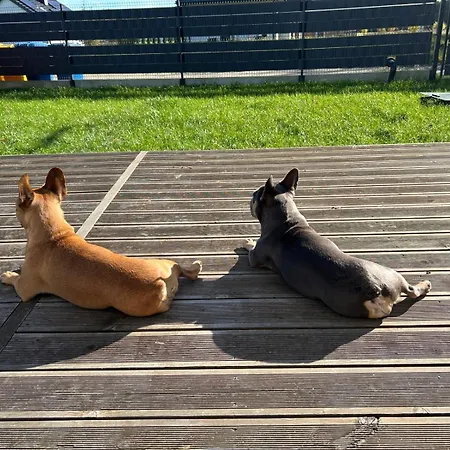 Laura 70qm Bis 5 Gaeste Mit Fass-sauna, Whirlpool April Bis Oktober, 75qm Terrasse Und Eingezaeunten Garten Haustiere Willkommen *