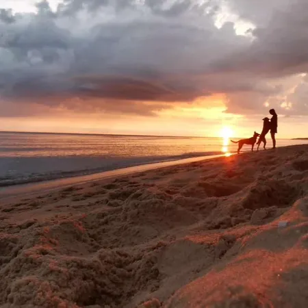 Prázdninový dům Laura 70qm Bis 5 Gaeste Mit Fass-sauna, Whirlpool April Bis Oktober, 75qm Terrasse Und Eingezaeunten Garten Haustiere Willkommen *