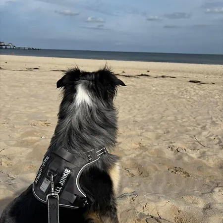 Prázdninový dům Laura 70qm Bis 5 Gaeste Mit Fass-sauna, Whirlpool April Bis Oktober, 75qm Terrasse Und Eingezaeunten Garten Haustiere Willkommen