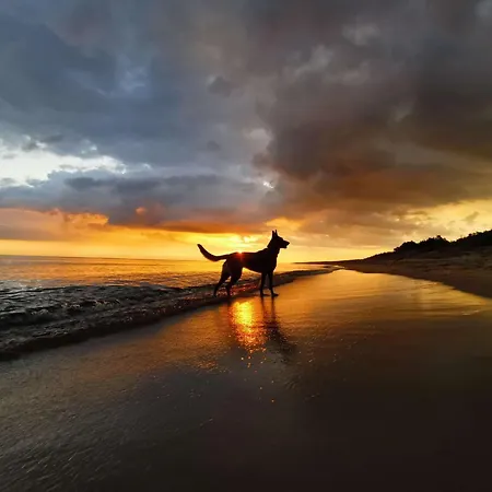 Laura 70qm Bis 5 Gaeste Mit Fass-sauna, Whirlpool April Bis Oktober, 75qm Terrasse Und Eingezaeunten Garten Haustiere Willkommen Prázdninový dům *